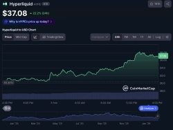 ハイパーリキッド、下落相場でも独り勝ちで20%急騰…時価総額トップ10入り
