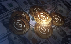 美 상원, 스테이블코인 이자 '보유 보상 금지' 가닥…시장구조법 핵심 쟁점 부상