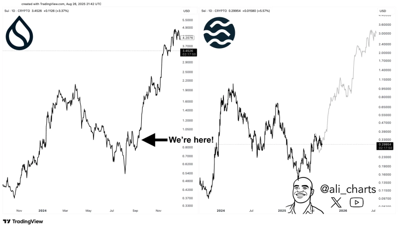 Source=Ali Martinez X Capture