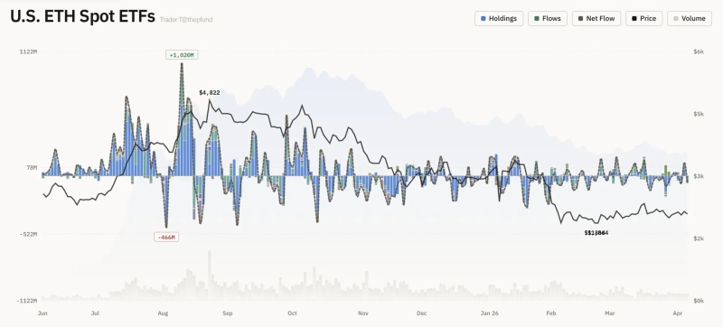 写真:トレーダーT