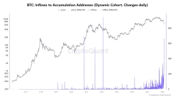 「ビットコイン、価格下落局面でクジラの買い集め増加…6日に長期保有ウォレットへの流入が最大」