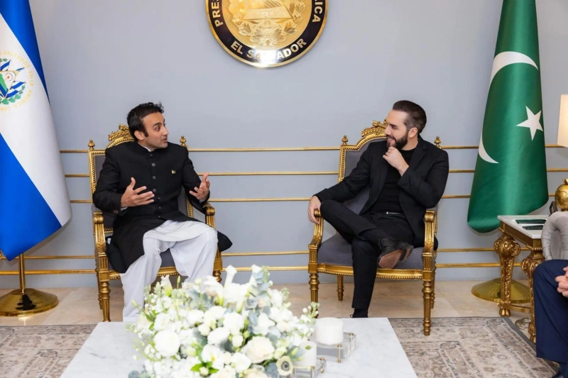 17日(現地時間)、エルサルバドルで会談したナジブ・ブケレ大統領(右)とビラル・ビン・サキブ・パキスタン暗号通貨協議会会長兼パキスタン首相補佐官。写真=ビラル・ビン・サキブ・パキスタン暗号通貨協議会会長兼パキスタン首相補佐官エックス(X)キャプチャ