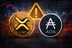 Galaxy Digital CEO "XRP·Cardano (ADA) could be left behind if they fail to demonstrate practical utility" warns