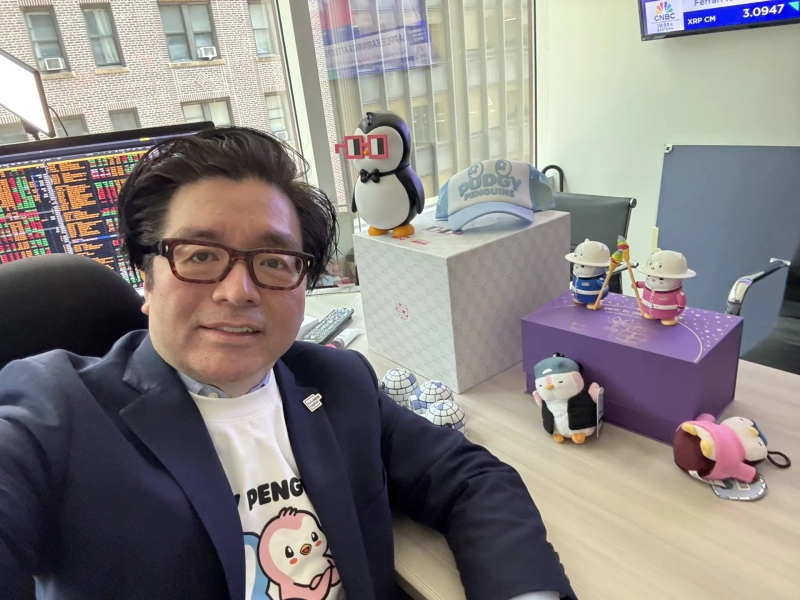 Photo=Tom Lee Bitmine chairman X