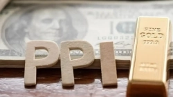 米1月の生産者物価指数（PPI）、前月比0.5%上昇…予想上回る