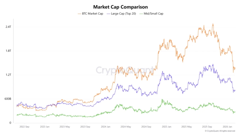 写真=CryptoQuantキャプチャ