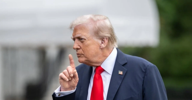 사진 = 셔터스톡