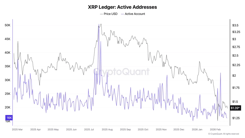 최근 1년 XRP레저(XRPL) 활성 주소수 추이. 사진=크립토퀀트