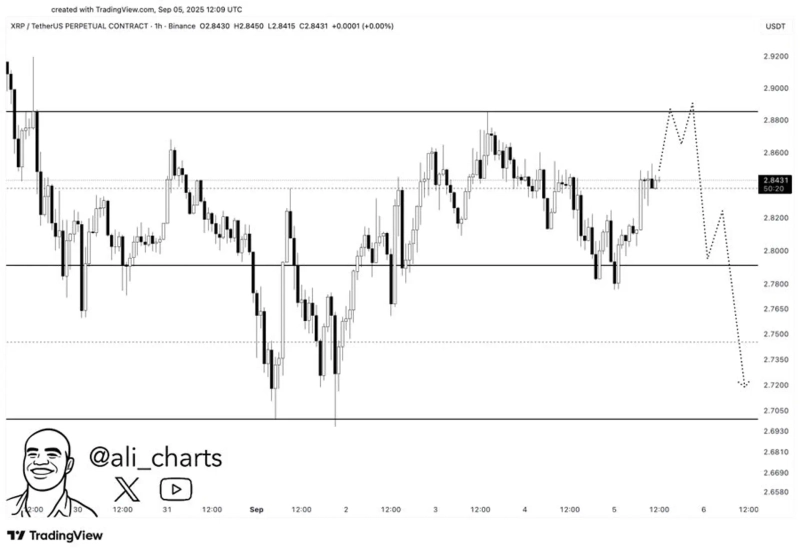 Photo=Ali Martinez X(X)