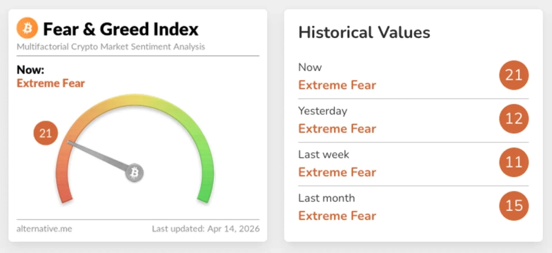写真:オルタナティブ