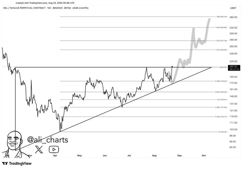 Photo=Ali Martinez X(X)