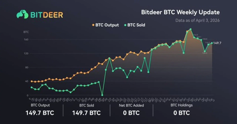 사진=비트디어 엑스 갈무리
