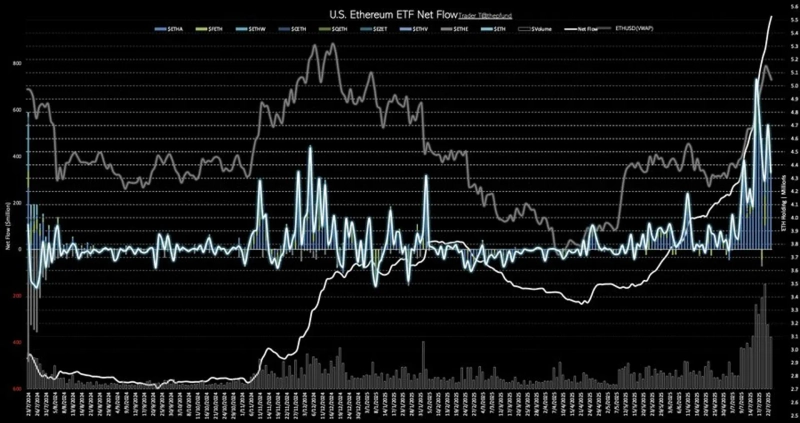 写真=トレーダーT