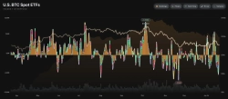 U.S. spot Bitcoin ETFs post net outflows for a fourth straight session