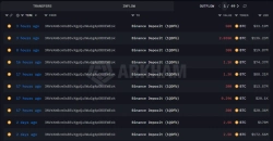 익명 고래투자자, 지난 3일간 바이낸스에 비트코인 1만700개 입금