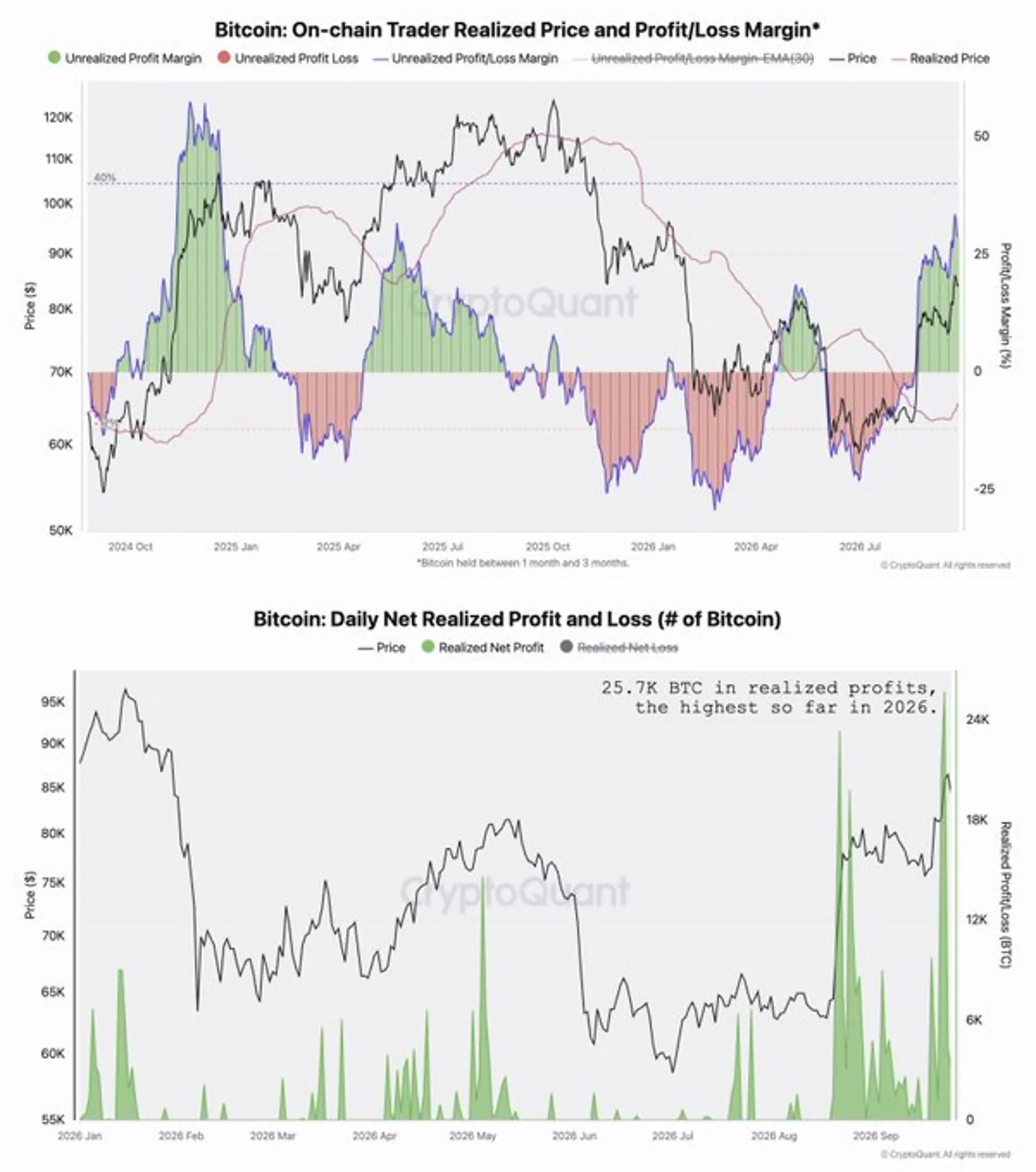 [Analysis] Bitcoin Unrealized Profit Margin Hits 20-Month High, Raising Correction Risk
