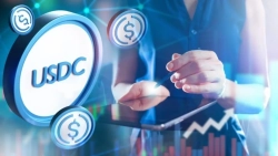 サークル、独自ブロックチェーン「Arc」のトークン先行販売で2億2200万ドル調達　FDVは30億ドル