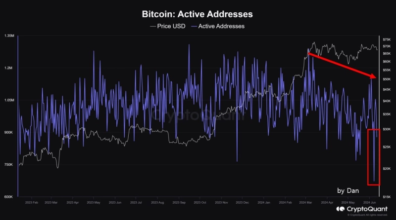 비트코인 활성화 주소 수 추이 / 자료=크립토퀀트