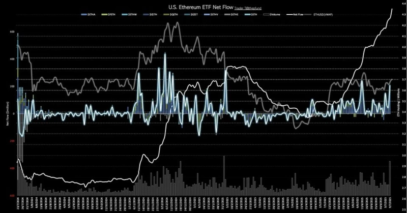 写真=トレーダーT