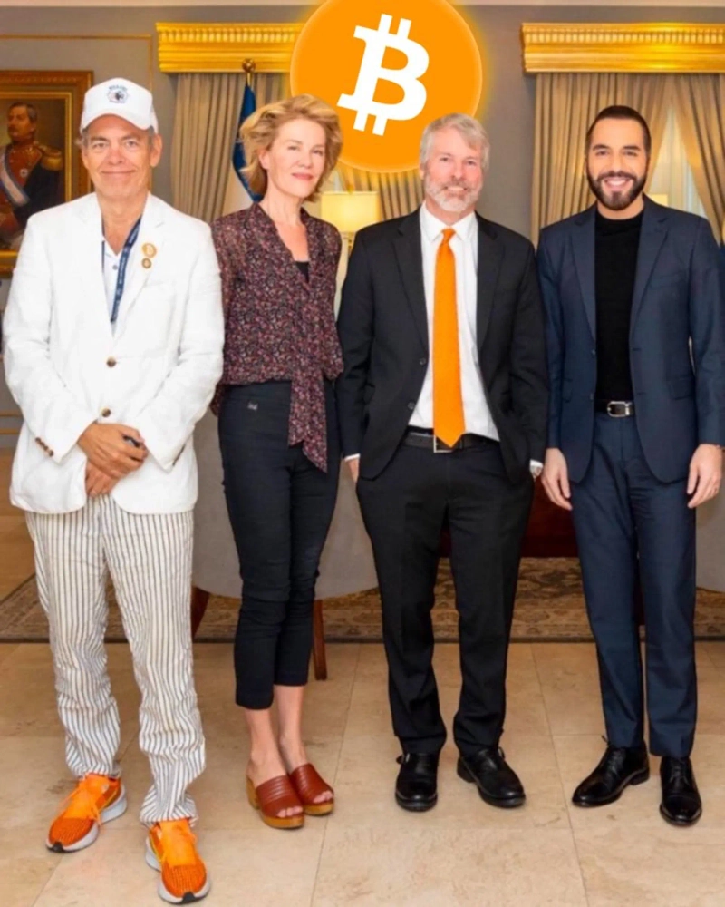 맥스 카이저, 비트코인 매집 기업 비판…