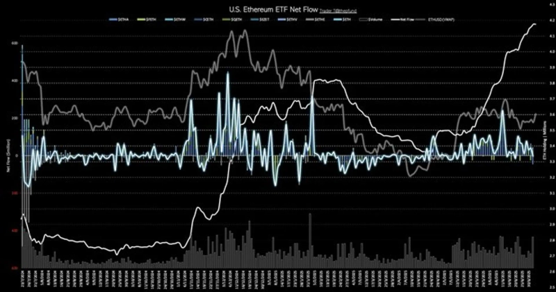 写真=トレーダーT