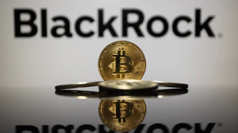 ブロックチェーン白書【定価18万円】 馬鹿の分際〜ブロックチェーンが切り開く、新しい未来を生き抜く