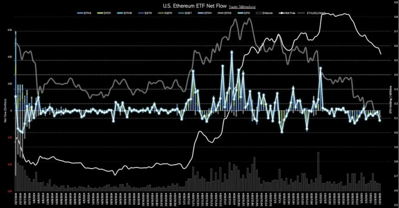 사진=트레이더T