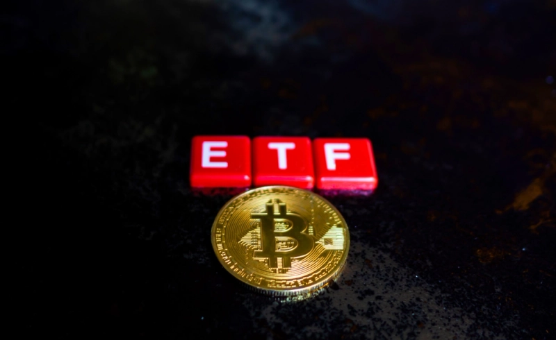 사진 = 셔터스톡