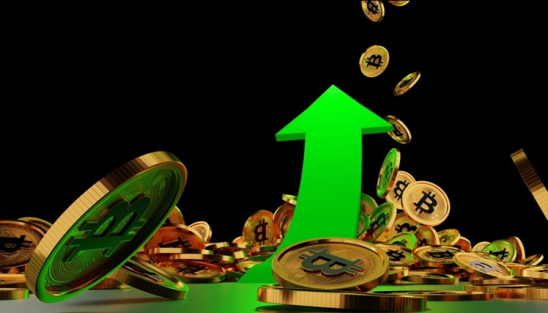 사진 = 셔터스톡